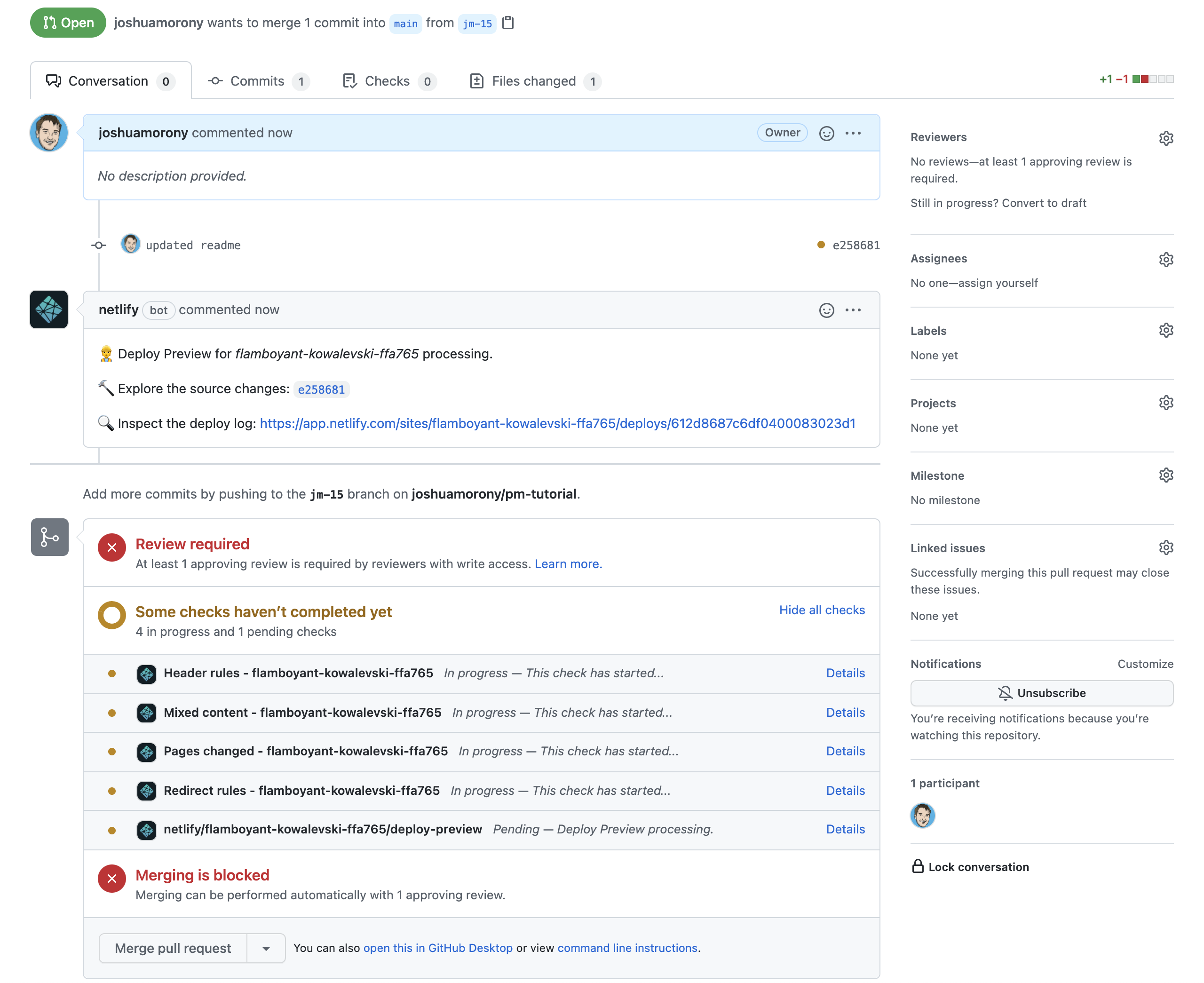 Review required and status checks in Github
