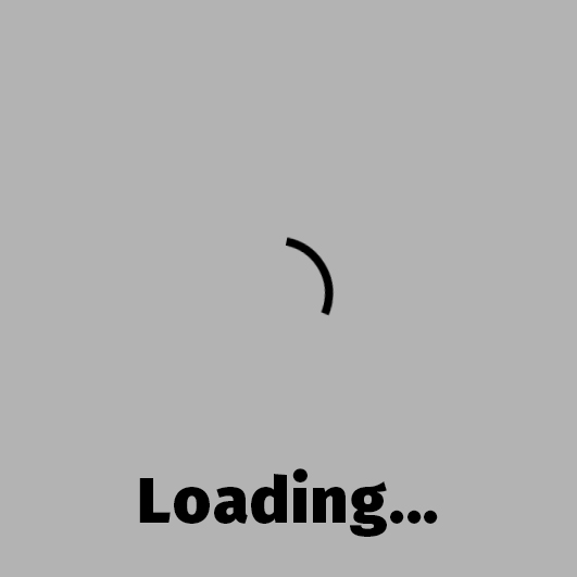 How to Create a Custom Loading Component in Ionic 2