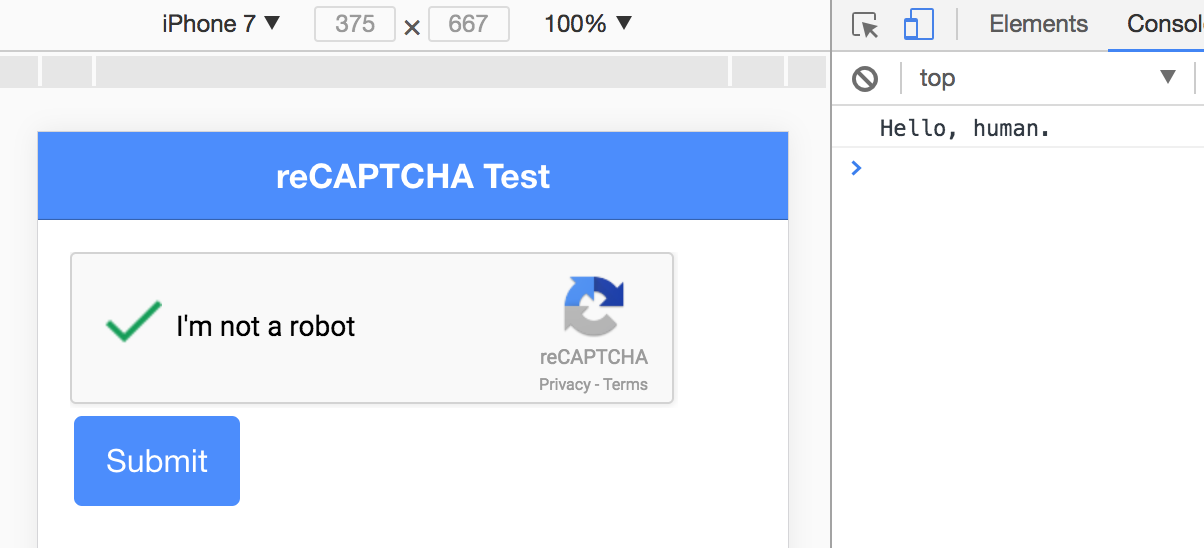 reCAPTCHA Test