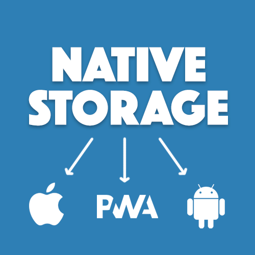 Using the Capacitor Storage API for Storing Data